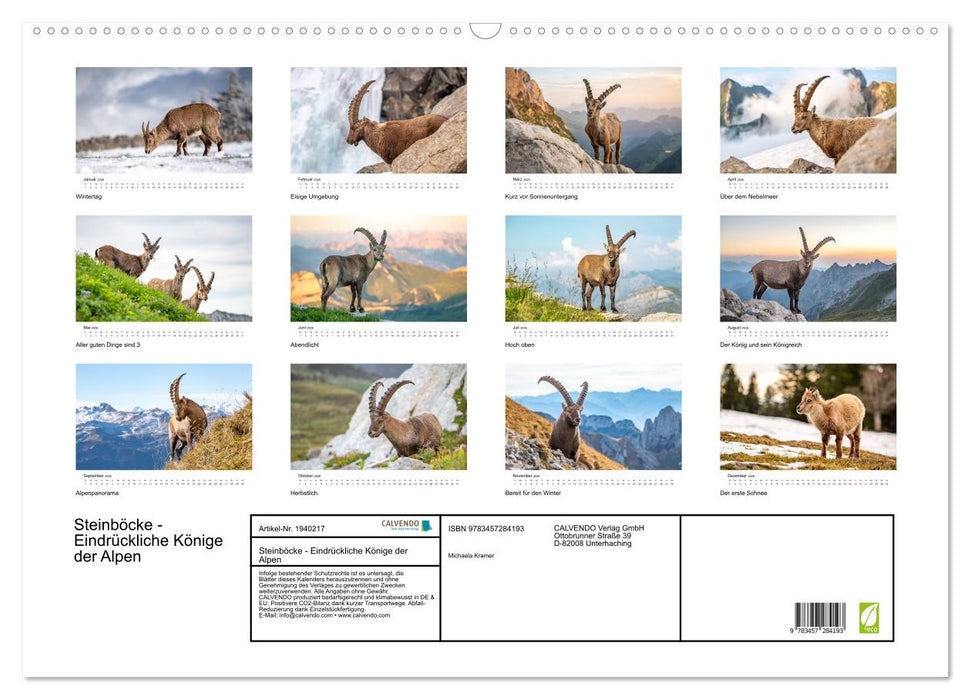 Steinböcke - Eindrückliche Könige der Alpen (CALVENDO Wandkalender 2026)