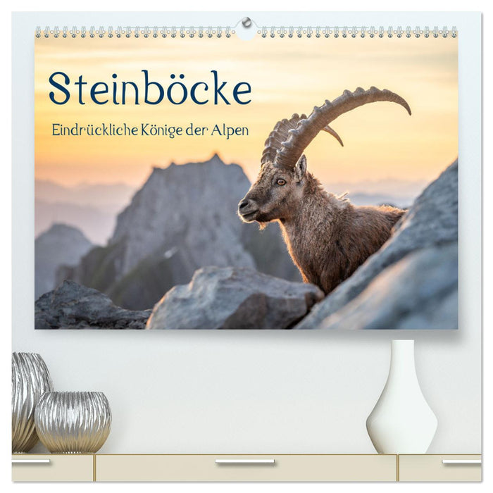 Steinböcke - Eindrückliche Könige der Alpen (CALVENDO Premium Wandkalender 2026)