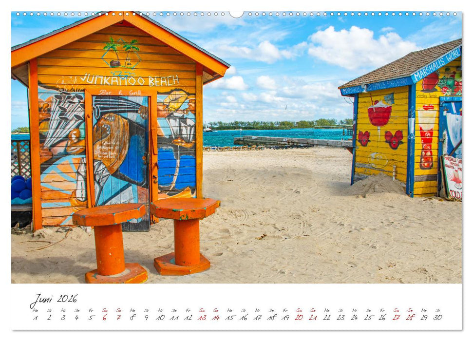 Nassau - Stadt mit karibischem Flair (CALVENDO Premium Wandkalender 2026)