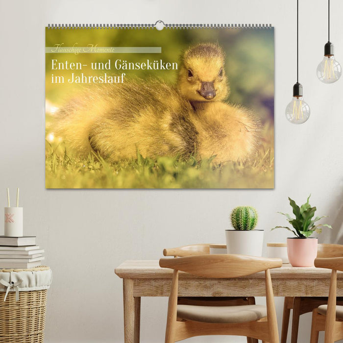 Flauschige Momente! Enten- und Gänseküken im Jahreslauf (CALVENDO Wandkalender 2026)