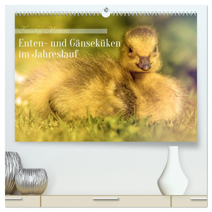 Flauschige Momente! Enten- und Gänseküken im Jahreslauf (CALVENDO Premium Wandkalender 2026)