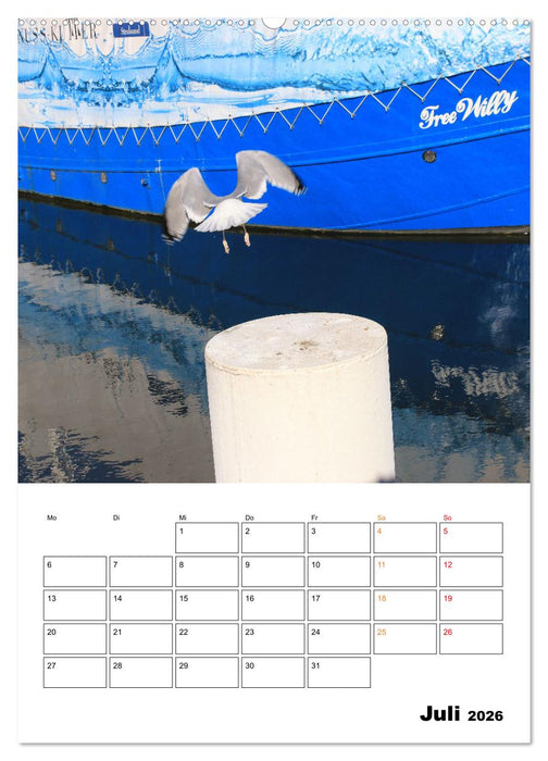 Bezauberndes Stralsund (CALVENDO Premium Wandkalender 2026)