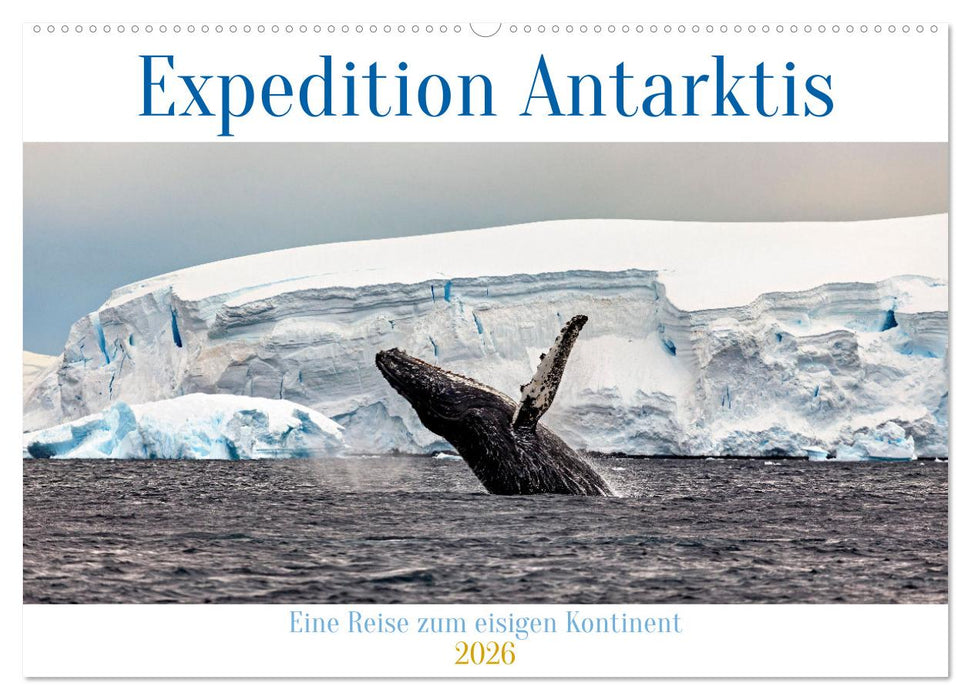 Expedition Antarktis (CALVENDO Wandkalender 2026)