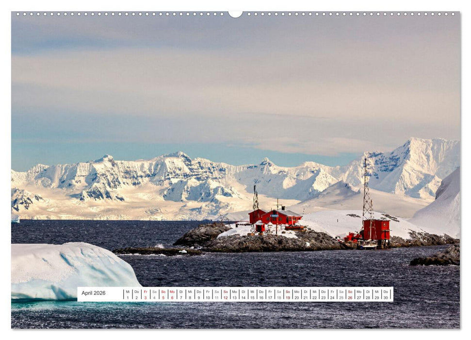 Expedition Antarktis (CALVENDO Premium Wandkalender 2026)