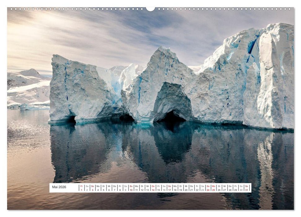 Expedition Antarktis (CALVENDO Premium Wandkalender 2026)