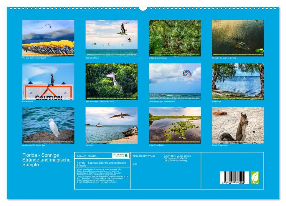 Florida - Sonnige Strände und magische Sümpfe (CALVENDO Premium Wandkalender 2026)
