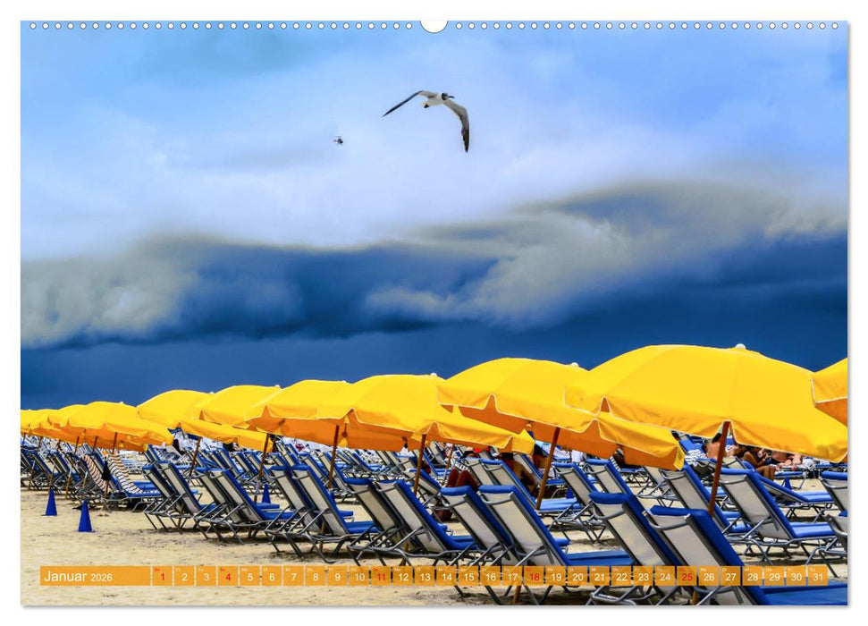 Florida - Sonnige Strände und magische Sümpfe (CALVENDO Premium Wandkalender 2026)