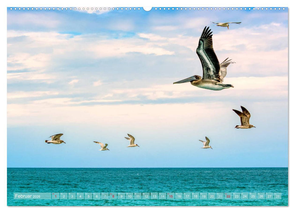Florida - Sonnige Strände und magische Sümpfe (CALVENDO Premium Wandkalender 2026)