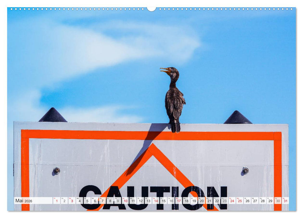 Florida - Sonnige Strände und magische Sümpfe (CALVENDO Premium Wandkalender 2026)