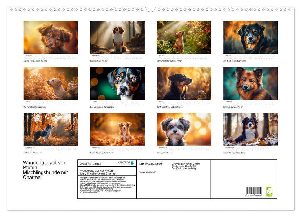 Wundertüte auf vier Pfoten - Mischlingshunde mit Charme (CALVENDO Wandkalender 2026)
