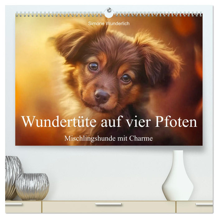 Wundertüte auf vier Pfoten - Mischlingshunde mit Charme (CALVENDO Premium Wandkalender 2026)