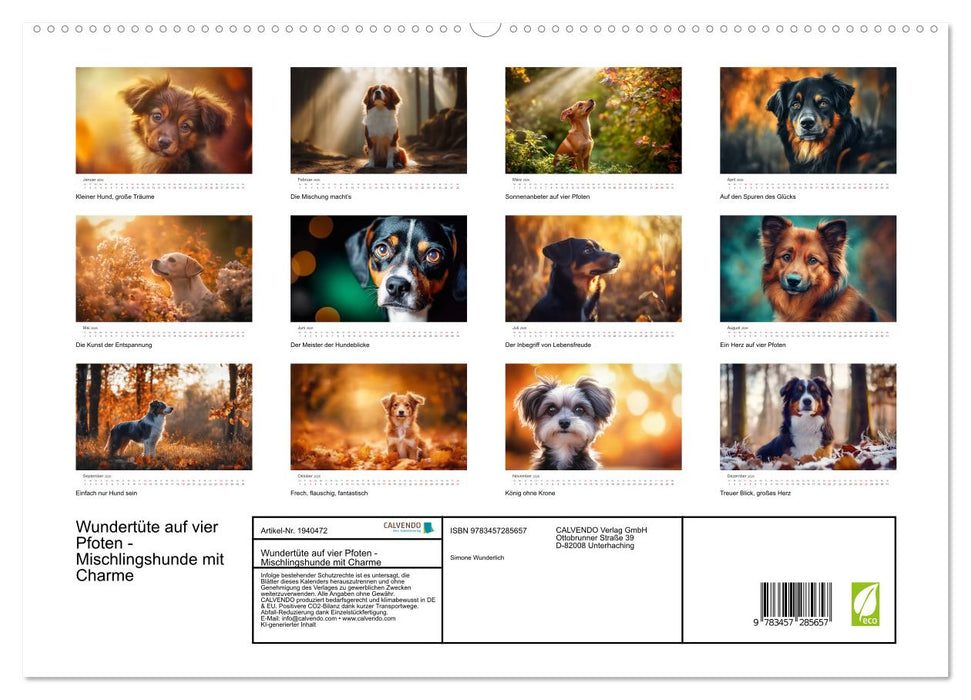 Wundertüte auf vier Pfoten - Mischlingshunde mit Charme (CALVENDO Premium Wandkalender 2026)