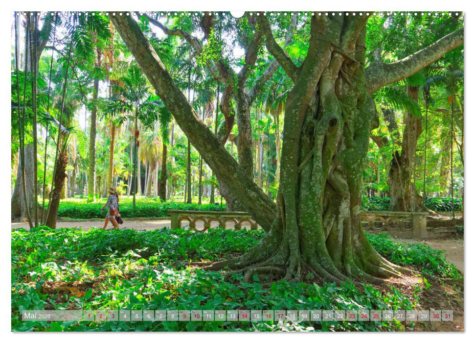 Faszination Südamerika (CALVENDO Premium Wandkalender 2026)