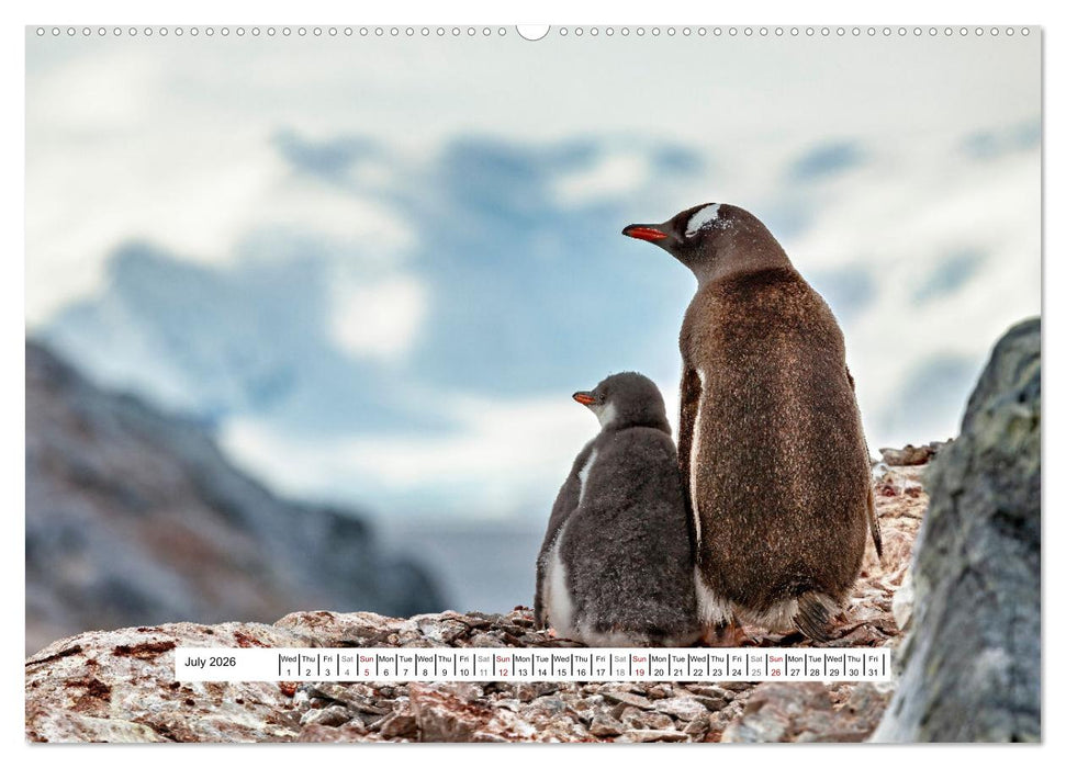 An Antarctic Expedition (CALVENDO Premium-Calendar 2026)