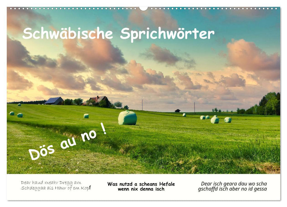 03 Schwäbische Sprichwörter - Dös au no! (CALVENDO Wandkalender 2026)