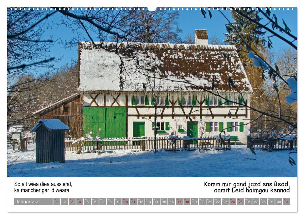 03 Schwäbische Sprichwörter - Dös au no! (CALVENDO Wandkalender 2026)