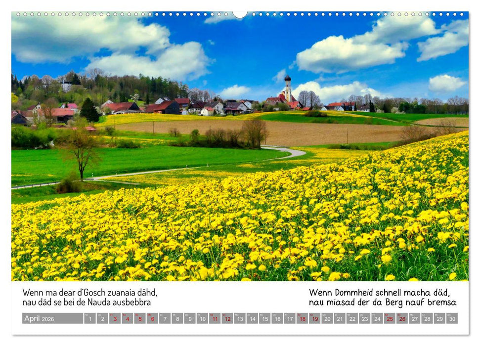 03 Schwäbische Sprichwörter - Dös au no! (CALVENDO Wandkalender 2026)