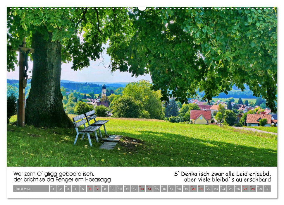 03 Schwäbische Sprichwörter - Dös au no! (CALVENDO Wandkalender 2026)