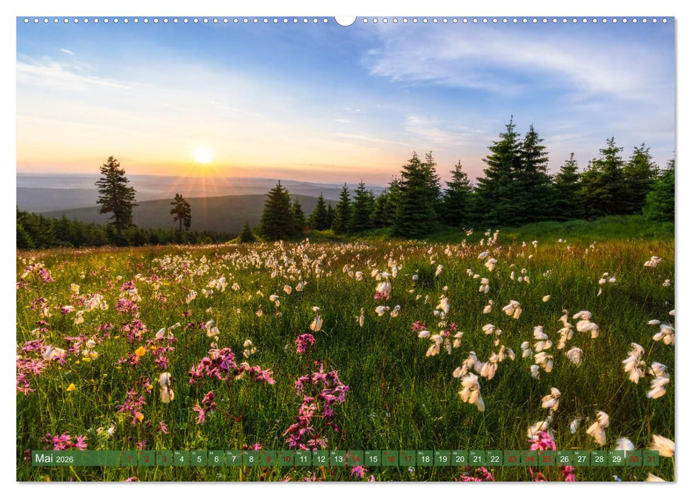 Unterwegs im Erzgebirge - Zwischen Tradition, Kultur und Natur (CALVENDO Wandkalender 2026)