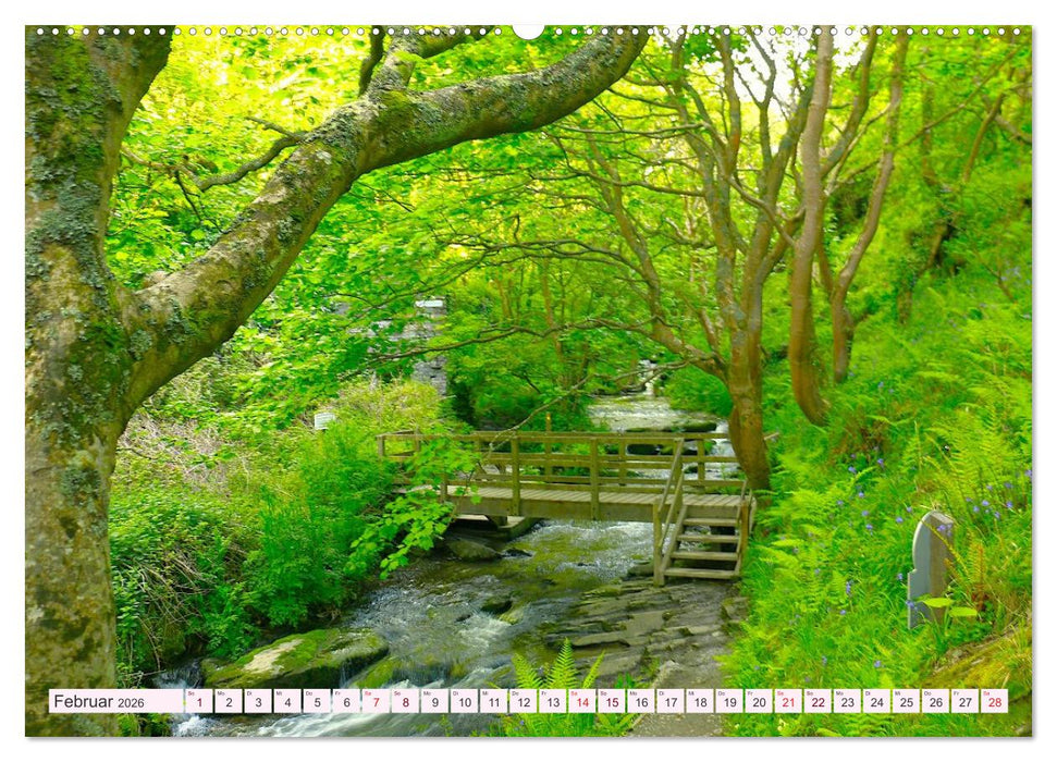 Cornwall im Frühling (CALVENDO Premium Wandkalender 2026)