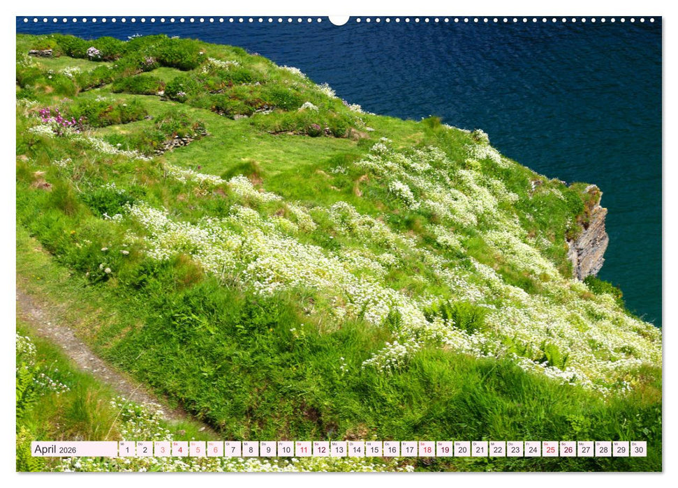 Cornwall im Frühling (CALVENDO Premium Wandkalender 2026)