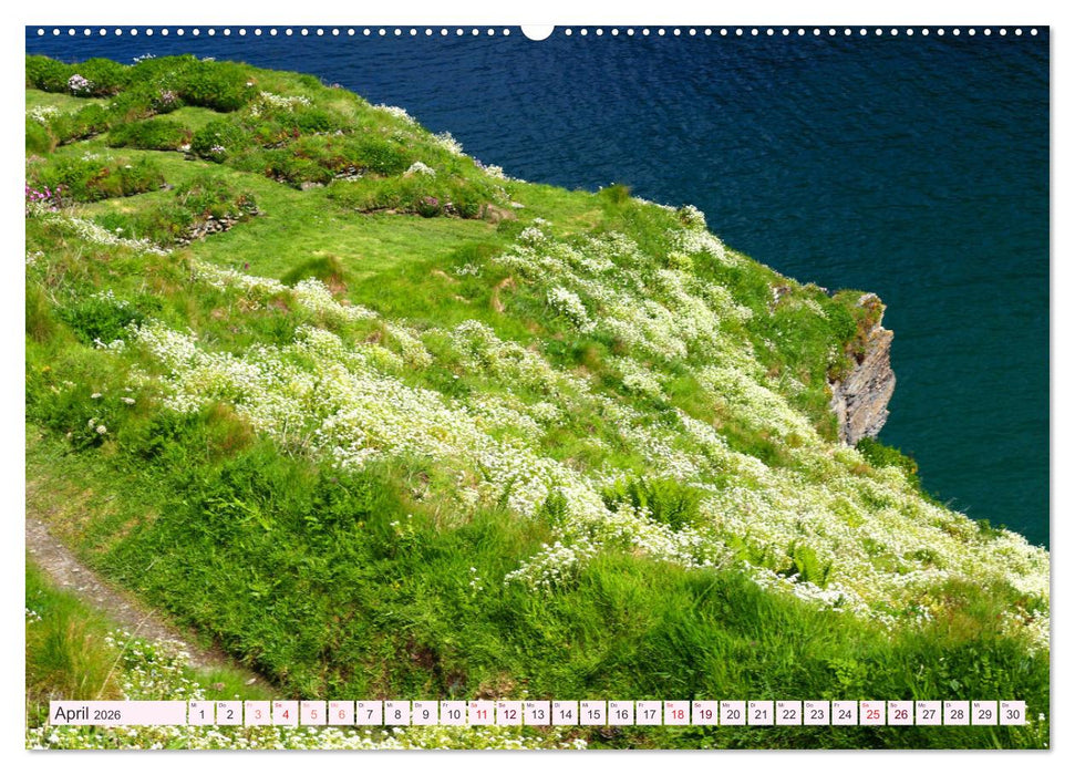 Cornwall im Frühling (CALVENDO Premium Wandkalender 2026)