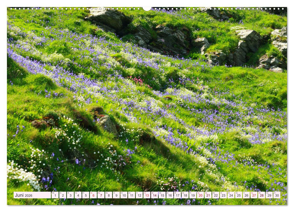 Cornwall im Frühling (CALVENDO Premium Wandkalender 2026)