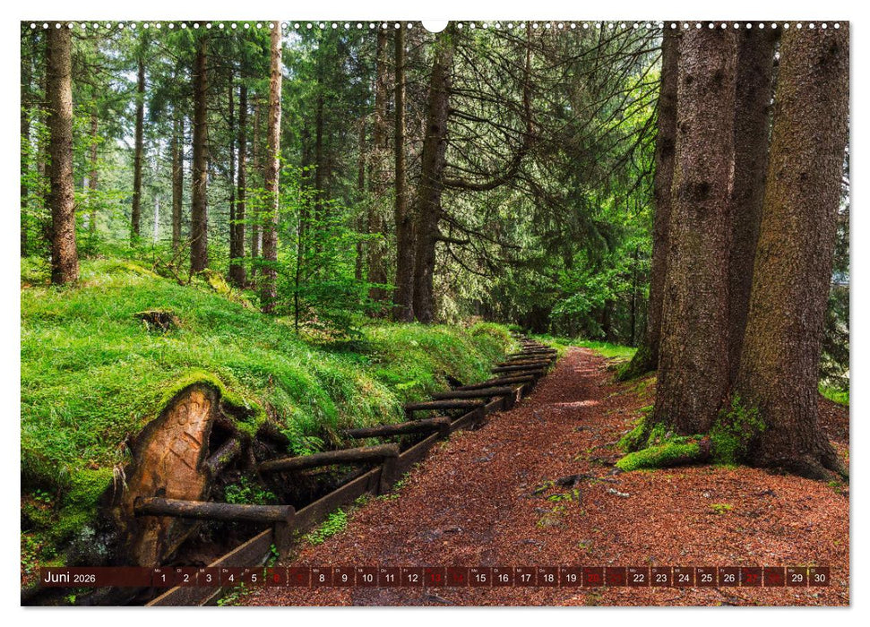 Unterwegs im Erzgebirge - Zwischen Tradition, Kultur und Natur (CALVENDO Premium Wandkalender 2026)
