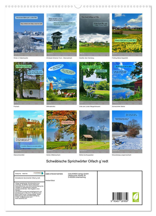 Schwäbische Sprichwörter Oifach g`redt (CALVENDO Premium Wandkalender 2026)