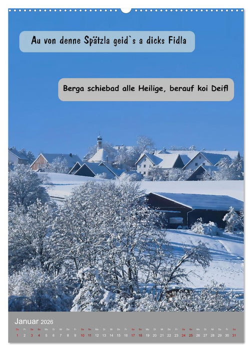 Schwäbische Sprichwörter Oifach g`redt (CALVENDO Premium Wandkalender 2026)
