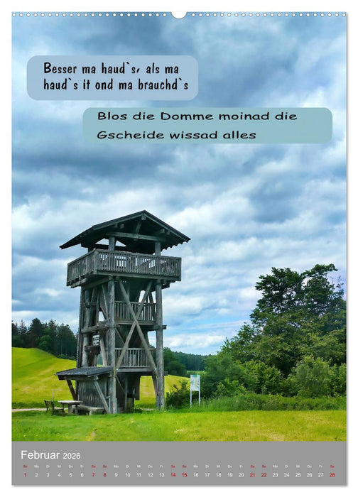 Schwäbische Sprichwörter Oifach g`redt (CALVENDO Premium Wandkalender 2026)