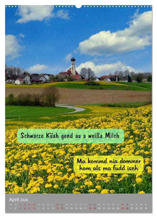 Schwäbische Sprichwörter Oifach g`redt (CALVENDO Premium Wandkalender 2026)