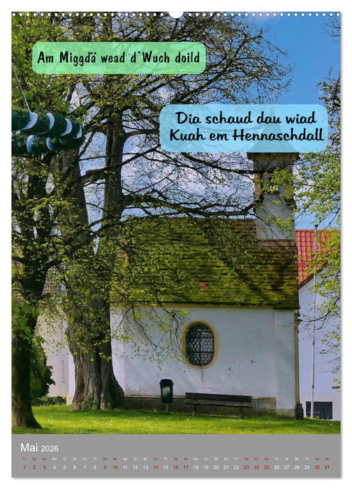 Schwäbische Sprichwörter Oifach g`redt (CALVENDO Premium Wandkalender 2026)