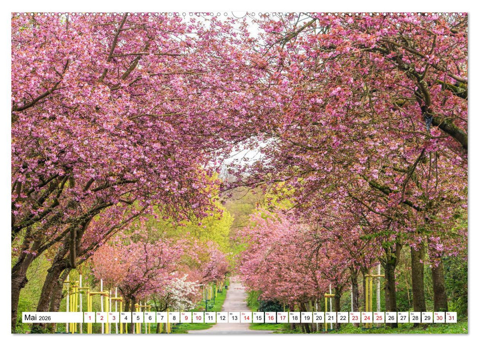 Köln - Facetten einer Stadt (CALVENDO Premium Wandkalender 2026)