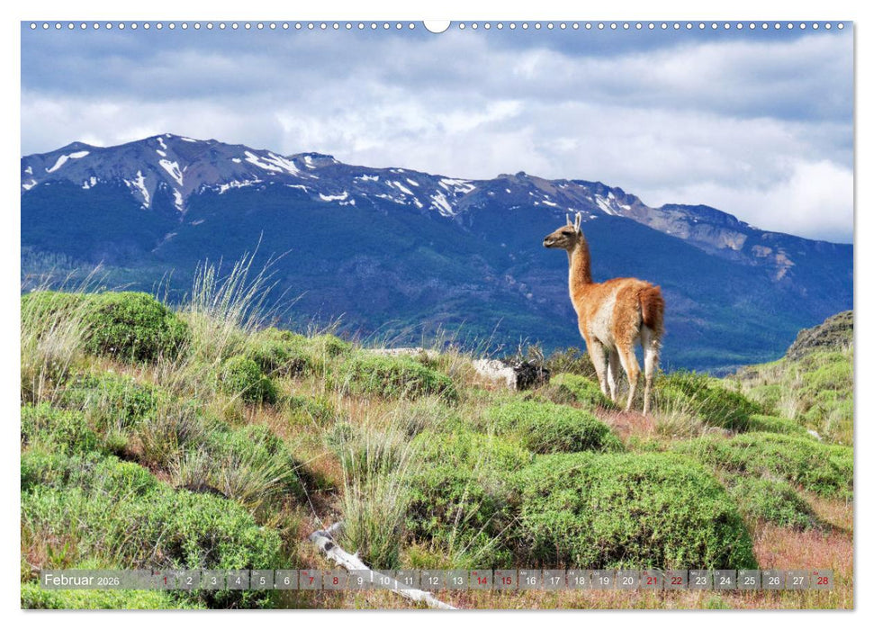 Der Kleine Süden von Chile (CALVENDO Wandkalender 2026)