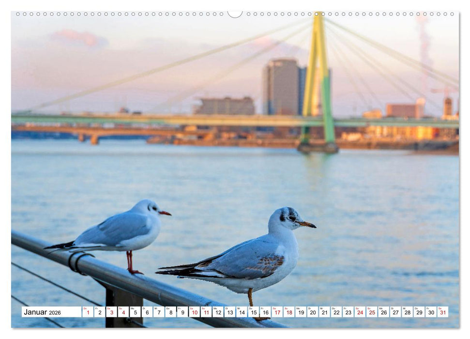 Köln - Facetten einer Stadt (CALVENDO Wandkalender 2026)