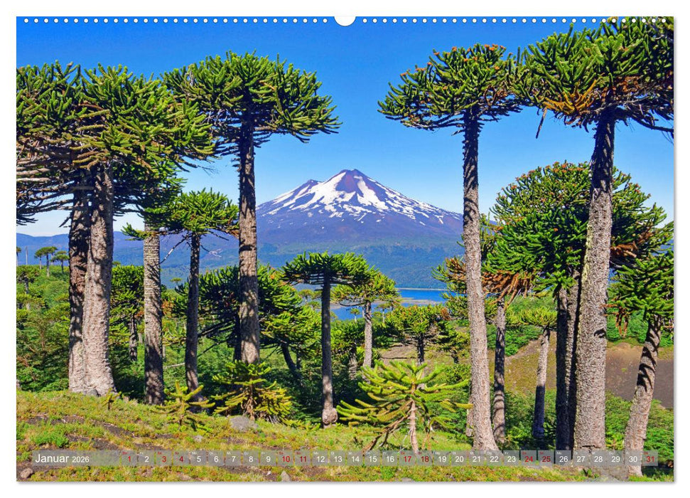 Der Kleine Süden von Chile (CALVENDO Premium Wandkalender 2026)