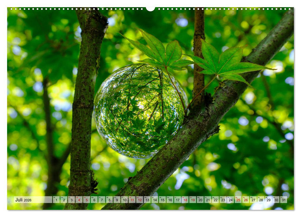 Faszination Glaskugel (CALVENDO Premium Wandkalender 2026)