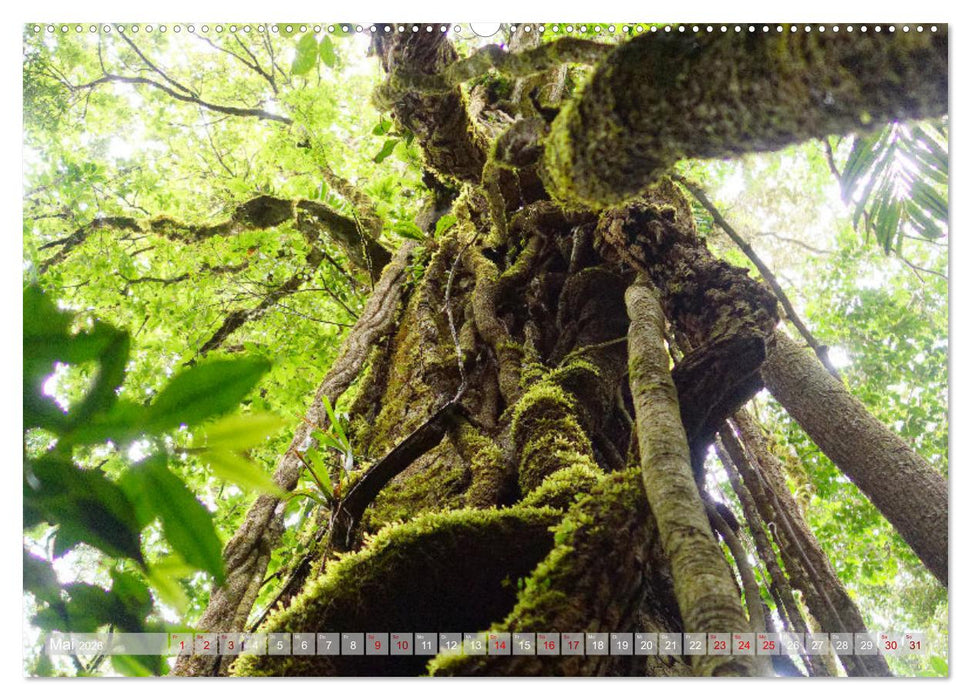 Faszination Zentralamerika (CALVENDO Wandkalender 2026)