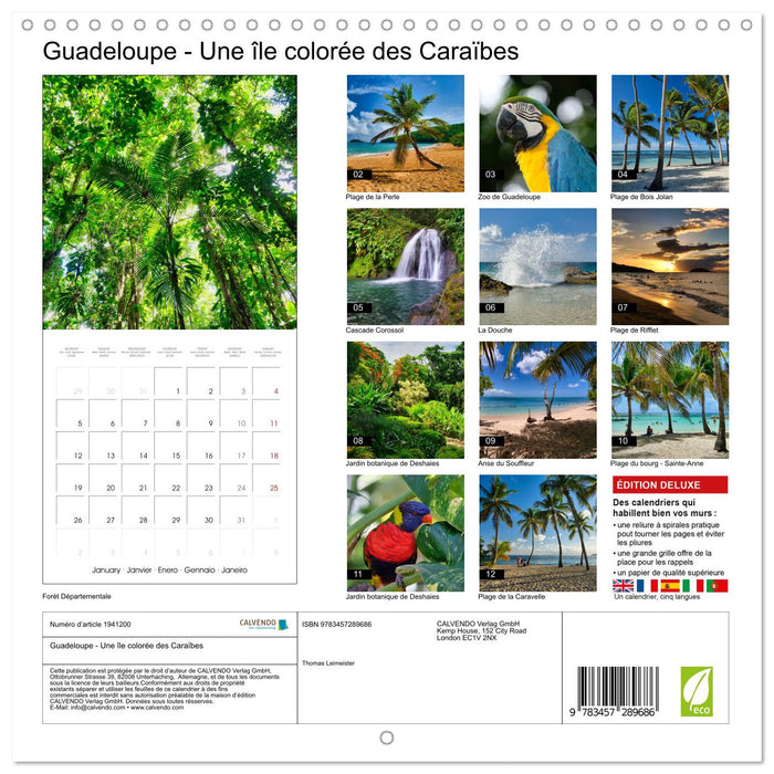 Guadeloupe - Une île colorée des Caraïbes (CALVENDO Calendrier mensuel 2026)