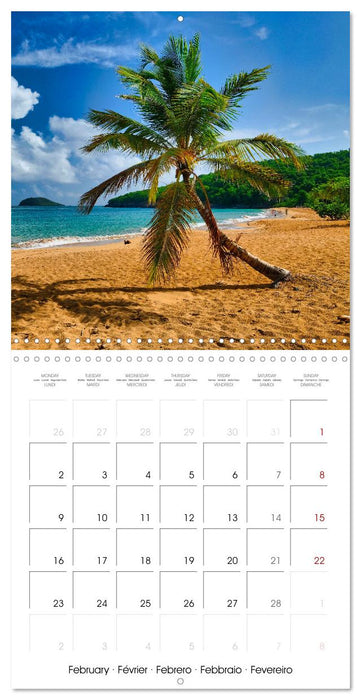 Guadeloupe - Une île colorée des Caraïbes (CALVENDO Calendrier mensuel 2026)