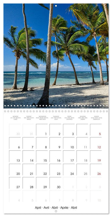 Guadeloupe - Une île colorée des Caraïbes (CALVENDO Calendrier mensuel 2026)