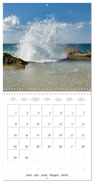 Guadeloupe - Une île colorée des Caraïbes (CALVENDO Calendrier mensuel 2026)