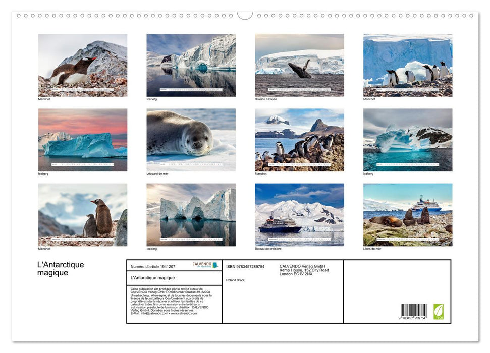 L'Antarctique magique (CALVENDO Calendrier mensuel 2026)