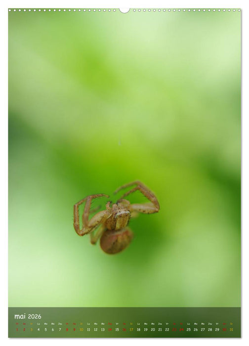 Les petits explorateurs (CALVENDO Calendrier mensuel 2026)