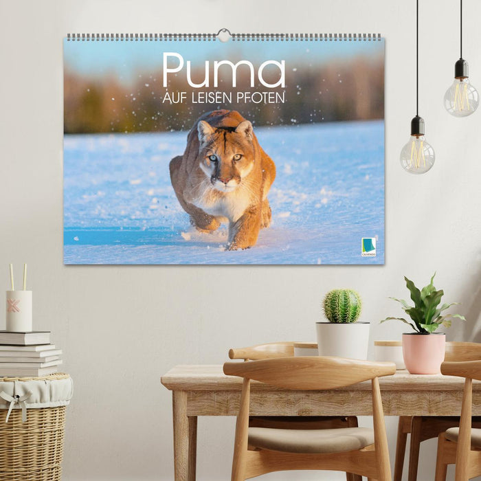 Puma: Auf leisen Pfoten (CALVENDO Wandkalender 2026)
