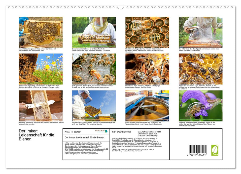 Der Imker: Leidenschaft für die Bienen (CALVENDO Premium Wandkalender 2026)