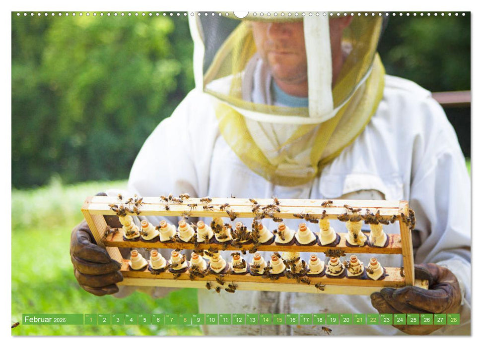 Der Imker: Leidenschaft für die Bienen (CALVENDO Premium Wandkalender 2026)