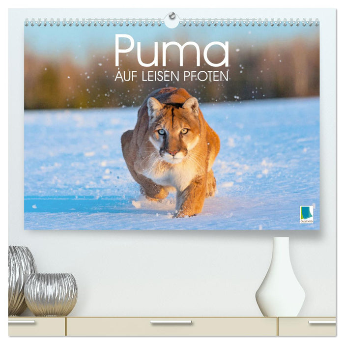 Puma: Auf leisen Pfoten (CALVENDO Premium Wandkalender 2026)