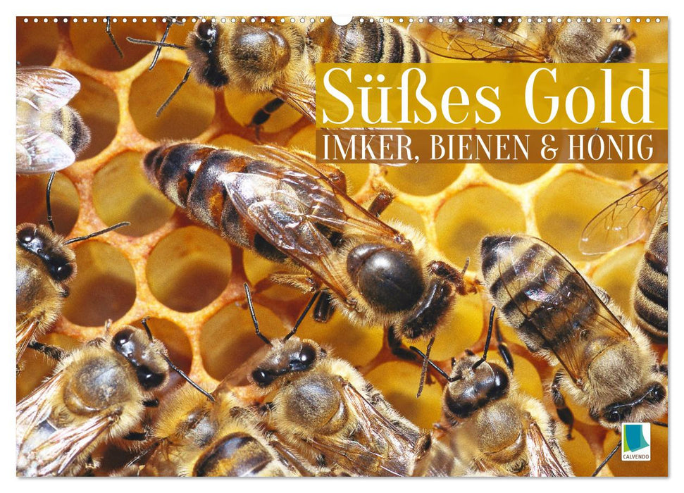 Süßes Gold: Imker, Bienen & Honig (CALVENDO Wandkalender 2026)